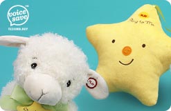 Recordable Plush
