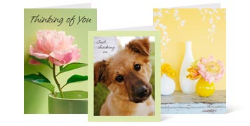Cards to Show Support
